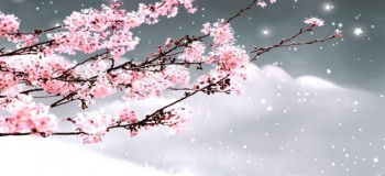 【古典詩詞】臨江仙 文/燚冰