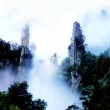 【現(xiàn)代詩(shī)歌】美人的情書(shū)