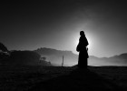 【現(xiàn)代詩(shī)歌】淵囿  文/心泉清韻