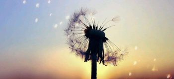 【網(wǎng)絡(luò)投稿】也許，沒有那么美好 文/九幽
