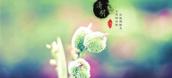 【傷感散文】又是一年清明時(shí)，多少淚與多少愁 文/林
