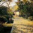 【原創】秋語寄托，擱淺心地（隨筆散章）