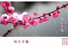 【網(wǎng)絡(luò)投稿】花慕·傲 文/文心惟木