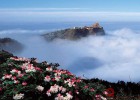【網絡投稿】適閑別塵去山水 文/文木
