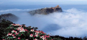【網(wǎng)絡(luò)投稿】適閑別塵去山水 文/文木