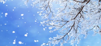 天空下起了連城雪