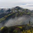 【古典詩(shī)詞】萬紫千紅總是春 （題圖 碧云峰）