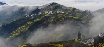 【古典詩詞】萬紫千紅總是春 （題圖 碧云峰）