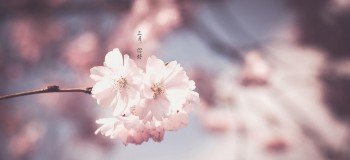 【散文隨筆】三月你好